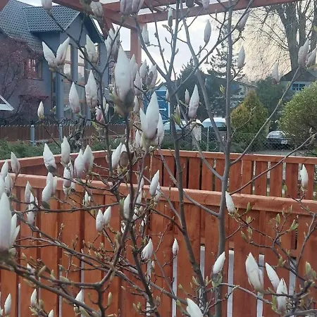 I Goscinne Janinka Проживание в семье