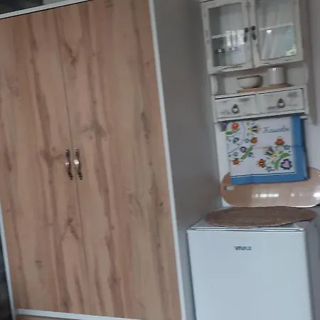 I Goscinne Janinka Проживание в семье *